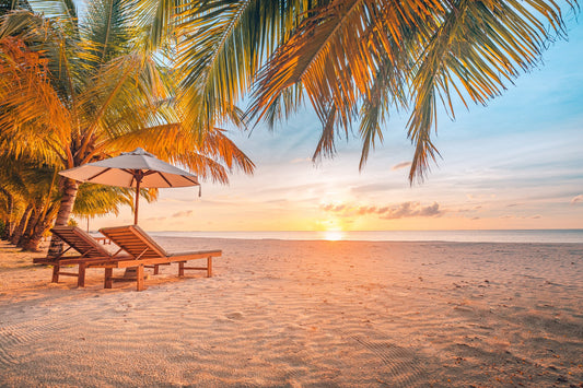 Stay Safe and Hydrated: Water Purification Tips for Your Next Holiday
