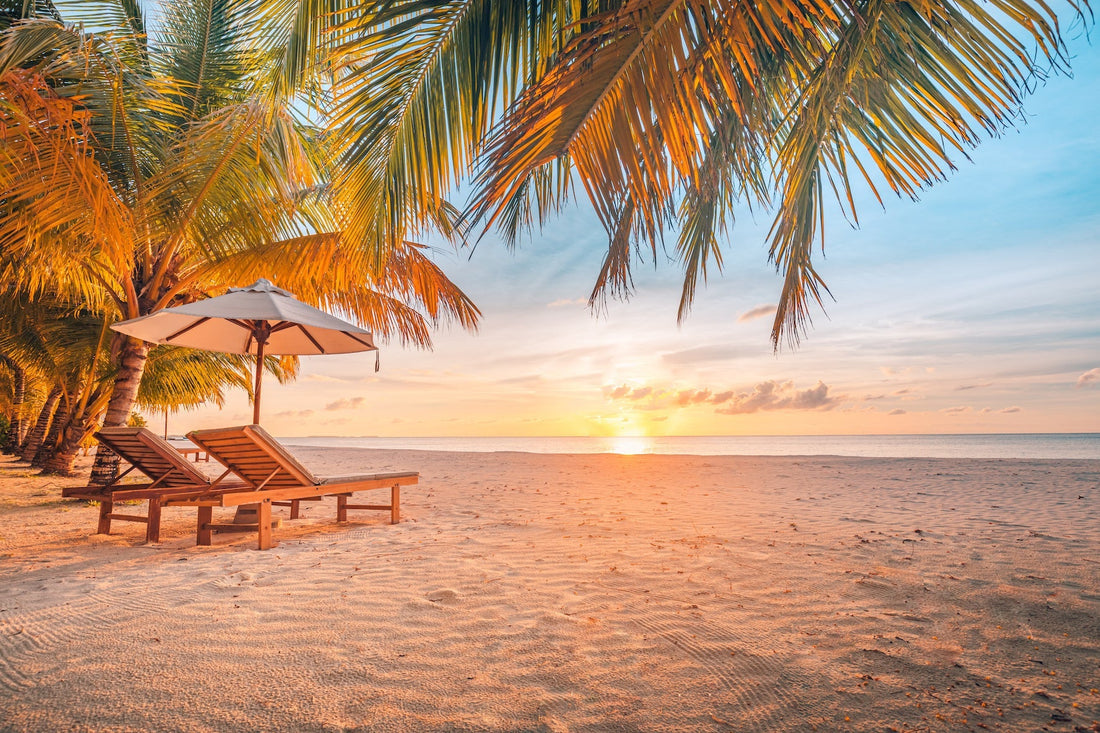 Stay Safe and Hydrated: Water Purification Tips for Your Next Holiday