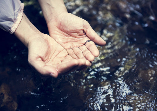 Clean Water for Camping: Contaminants in Remote Water Sources
