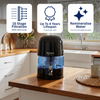 BIO 1000 Black 10 Litre Bench Top Filter